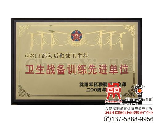 奖牌(铜牌)-2022/2/21 22:30:19