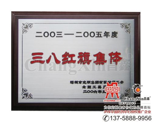 奖牌(铜牌)-2022/2/21 22:30:19