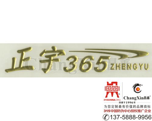 电动车贴花-2022/2/21 22:30:19